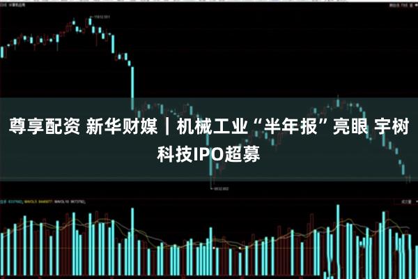 尊享配资 新华财媒｜机械工业“半年报”亮眼 宇树科技IPO超募